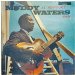 Muddy Waters - At Newport 1960