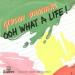 Gibson Brothers - Ooh What A Life