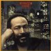 Gaye, Marvin - Midnight Love