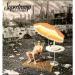 Supertramp - Crisis What Crisis