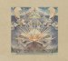 Junip - Fields