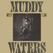 Muddy Waters - King Bee
