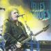 The Cure - Vieilles Charrues 2012
