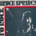 Bruce Springsteen Et The E Street Band - Born To Rock