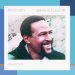 Marvin Gaye - Dream Of A Lifetime