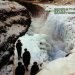 Echo & The Bunnymen - Porcupine