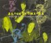 Alice In Chains - Heaven Beside You / Would? (live) / Rooster (live) / Junkhead