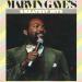 Marvin Gaye's Greatest Hits - Marvin Gaye
