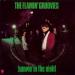 Flamin' Groovies - Jumpin' In The Night