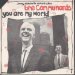 Communards - You Are My World 7 Inch