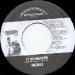 Degree / Michael Rose - It No Matter /jah Love Hot