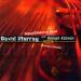 David Murray - Gipsy Cimbalem Band