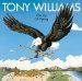 Tony Williams - Joy Of Flying