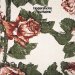 Tindersticks - Curtains
