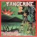 Tangerine - Same