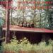 Eric Weissberg & Deliverance - Rural Free Delivery