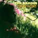 Hardin, Tim - Hang On To A Dream