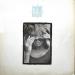 Tina Turner - The Best