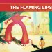 Flaming Lips - Yoshimi Battles The Pink Robots