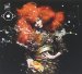 Bjork - Biophilia