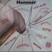 Various Artists - Hammer