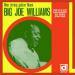 Big Joe Williams - Nine String Guitar Blues