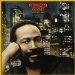 Marvin Gaye - Midnight Love