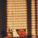 Mike Cooper - Light On A Wall