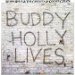 Buddy Holly & The Crickets - 20 Golden Greats