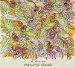 Of Montreal - Paralytic Stalks By Polyvinyl Records