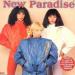New Paradise - New Paradise