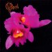 Opeth - Orchid