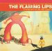 Flaming Lips, The - Yoshimi Battles The Pink Robots