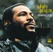Marvin Gaye - What's Going On
