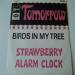 Strawberry Alarm Clock - Tomorrow