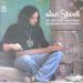Stivell (alan) - Un Dewezh 'barzh 'gêr (journée à La Maison)