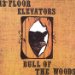 13th Floor Elevators - Bull Of Woods
