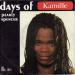 Kamille - Days Of Pearly Spencer / Down The Boulevard