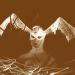 Jac Berrocal, David Fenech, Vincent Epplay - Why