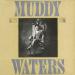 Muddy Waters - King Bee