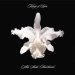 Kings Of Leon - A-Ha Shake Heartbreak [Vinyl]