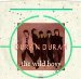 Duran Duran - Duran Duran / Wild Boys, The