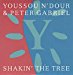 Youssou N' Dour - Shakin' The Tree