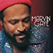 Marvin Gaye - Marvin Gaye - Collected