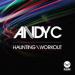 Andy C - Haunting / Workout