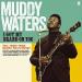 Muddy Waters - I Got My Brand On You