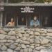 Byrds - Notorious Byrd Brothers