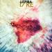 Litfiba - 17 Re