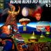 Various - Superb Super Pop Session N°3