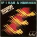 Pilgrim Ray, Starlings, The Typhoons - If I Had A Hammer - Special Surf